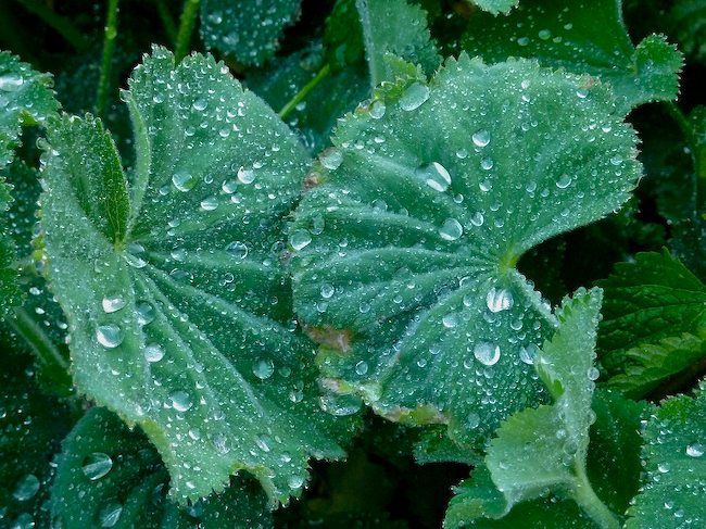 surface tension blog